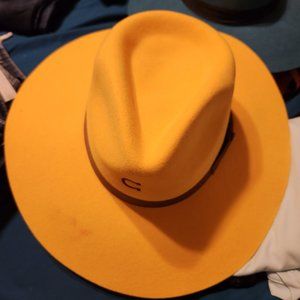 Two Charlie 1 horse hats